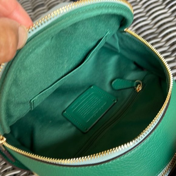 Coach Bags Coach Radish Leather Mini Court Backpack Green Light